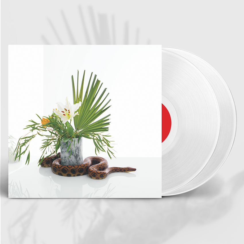 MintSpaceBlog's tweet photo. Noah Gundersen 'White Noise’ Bundles with Signed Limited Edition White Vinyl #SignedVinyl #WhiteVinyl #OriginalMint https://t.co/L8PeIjjT46 https://t.co/cUsLCGvsio