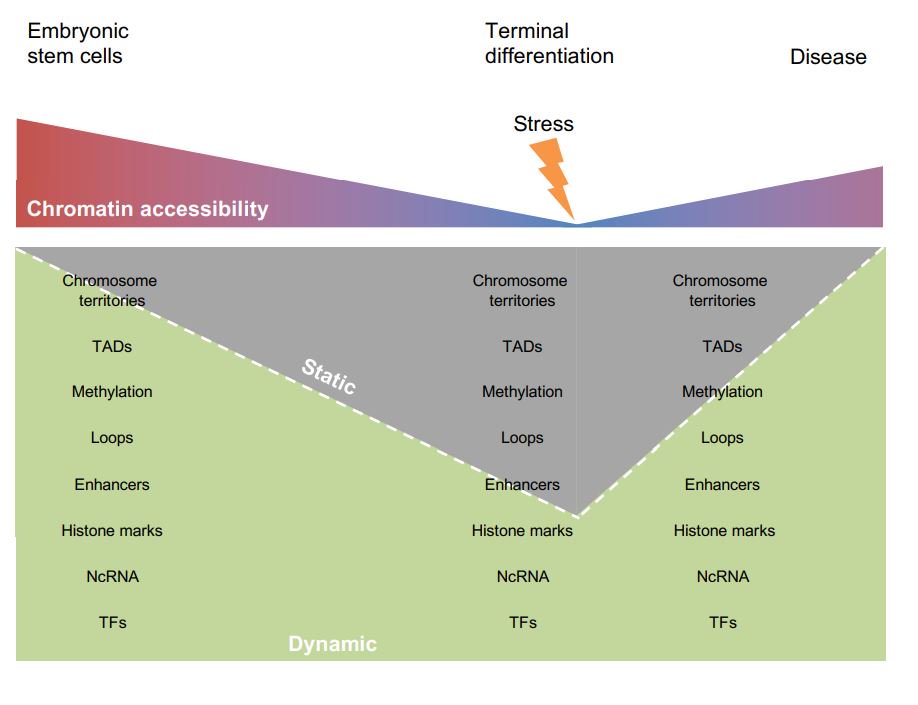 autism spectrum disorders