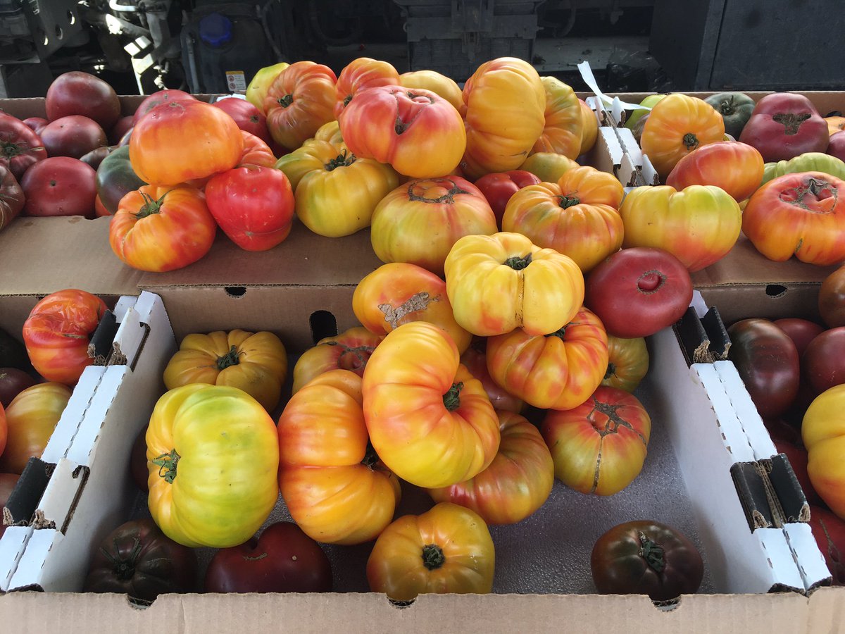 Celebrate National Farmers Market week with a trip to <a href="/smfms/">City of Santa Monica Farmers Markets</a> on Arizona and 2nd St! Just two blocks away from us! From 8:00am - 1:00pm today