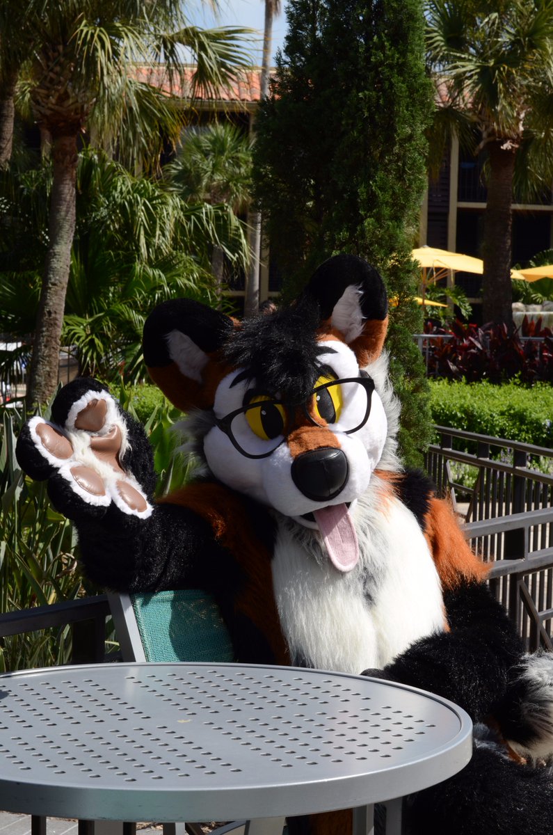 NewtonOtter's tweet photo. A few more from @MegaplexCon #MPlex2017 https://t.co/Gshfd91Abh