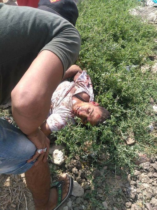 Посмотреть изображение в Твиттере