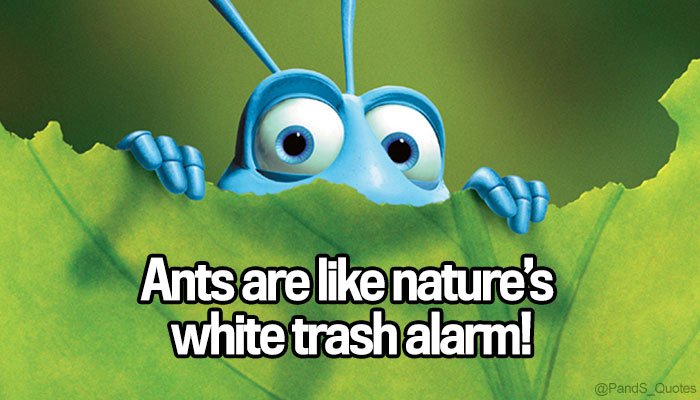 PandS_quotes's tweet photo. "Ants are like nature’s white trash alarm!" @mycorreale #EP273 https://t.co/BOk26K4bIa