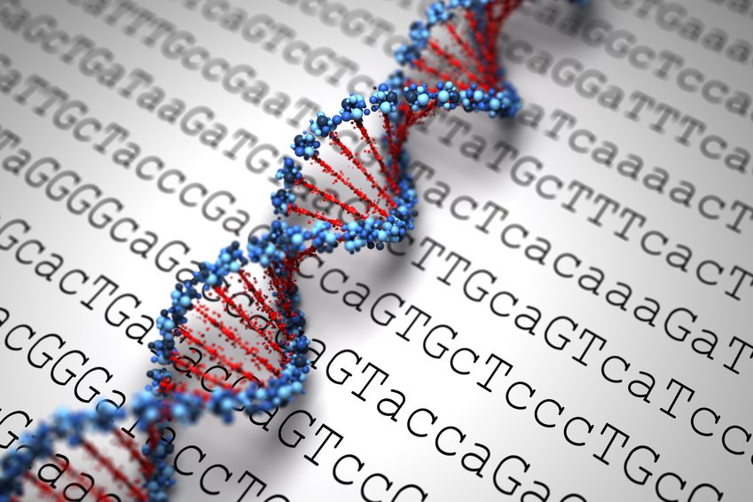 USBEKetRICA's tweet photo. Un virus informatique caché dans un brin d'ADN

https://t.co/kBxJTeEF9u https://t.co/XwKCgw4BJH