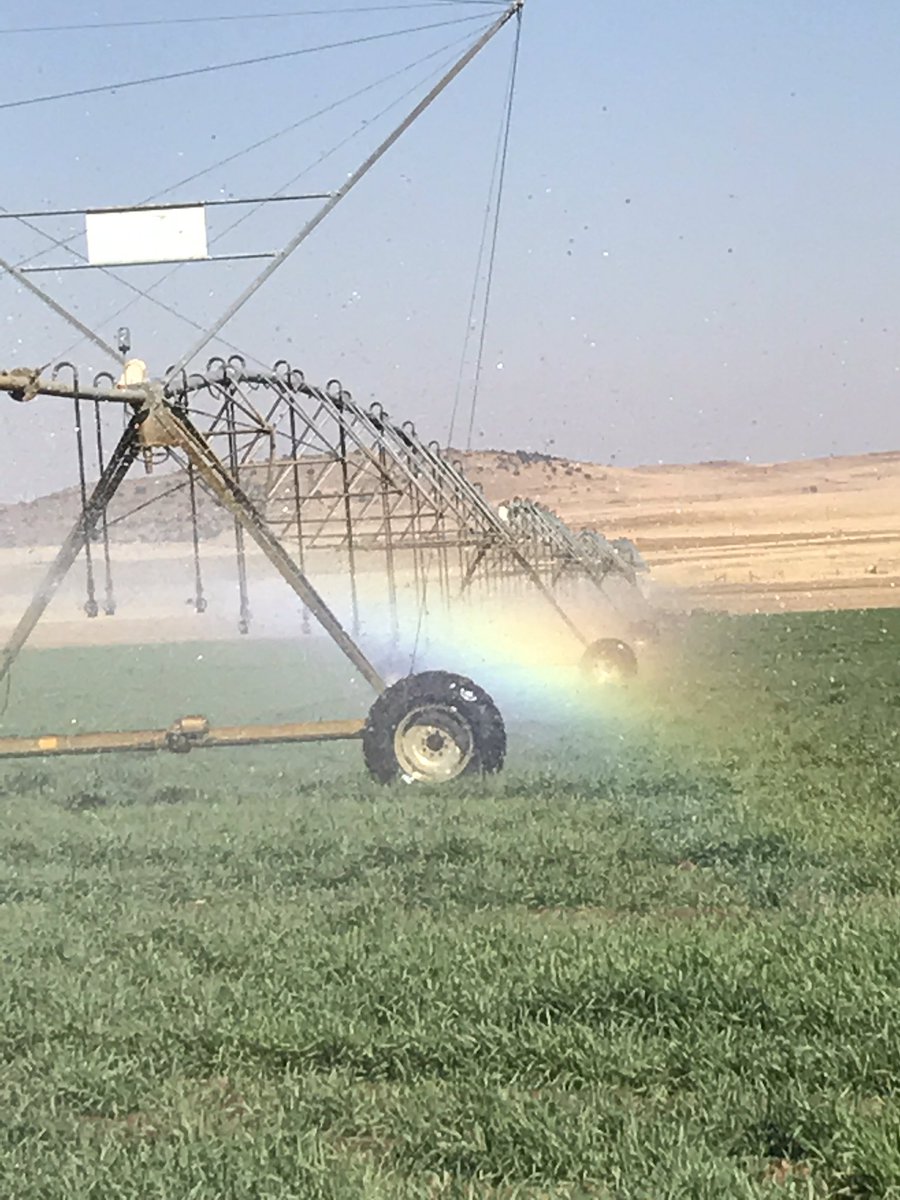 @TrueNorthValuers tweet media