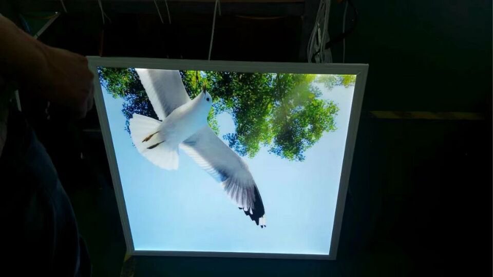 Cocoledlight's tweet image. Litestar technology co.,limited are 6years experiences led light factory,with 2500sqm workshop. litestarled.com