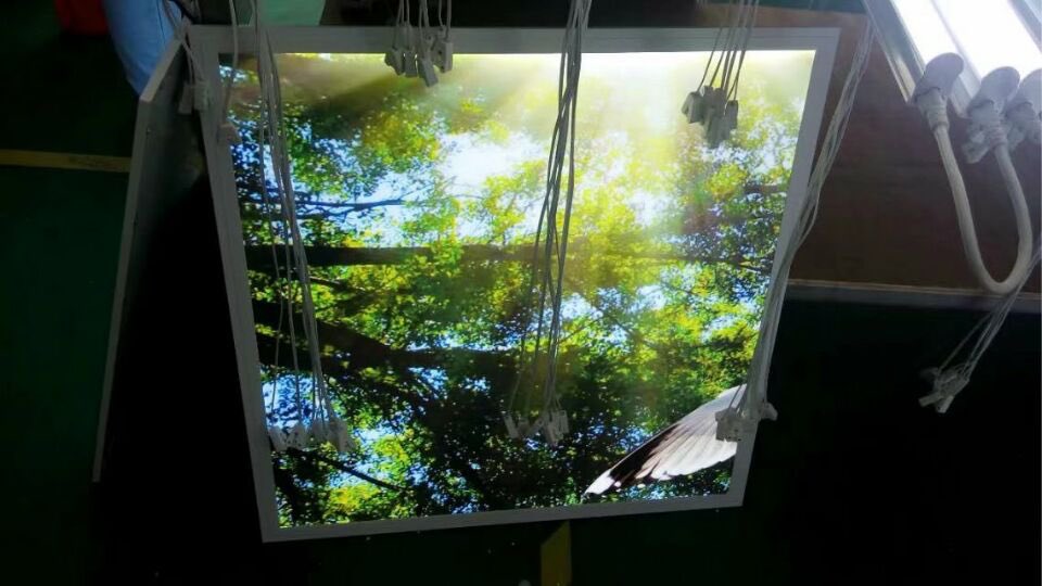 Cocoledlight's tweet image. Litestar technology co.,limited are 6years experiences led light factory,with 2500sqm workshop. litestarled.com