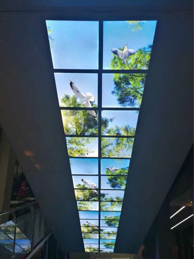 Cocoledlight's tweet image. Skyblue led panel light widely used at school,hospital, hall, hotel,meeting room,store,fitting center.