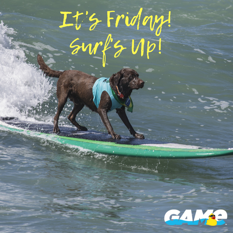 Happy Friday – We hope your weekend is full of adventure!
