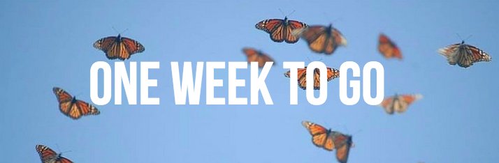 KettleMoraineLT's tweet photo. 1 week until the 8/19 #MeetTheMonarchs event! Join us for hikes, butterfly feeding, chrysalis observation, &amp; more! https://t.co/yIDrcPNTSf https://t.co/nXAvhNiPaN