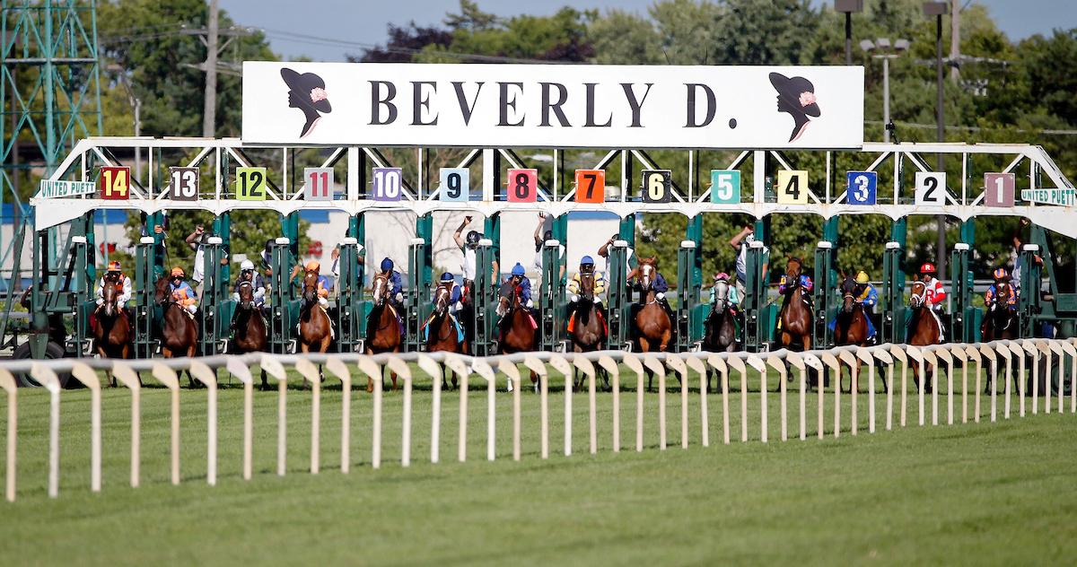 tresjody's tweet photo. Dona Bruja Brings Top Form into #WinAndYoureIN Beverly D. at @arlington_park #BCSweepstakes - https://t.co/7KhBaYC4ju https://t.co/qog2QI3xlM