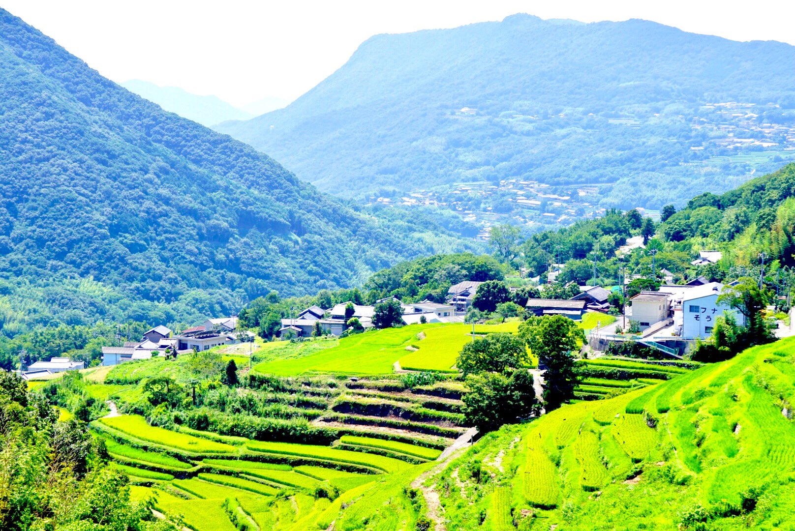 M Rin0130 久しぶりに行った中山の千枚田 緑がキレイでした 中山千枚田 写真好きな人と繋がりたい 小豆島 T Co 4yftrxes7y Twitter