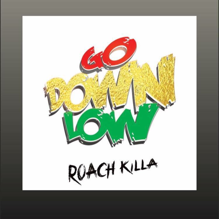 Punjab2000music's tweet photo. Check out @roachkilla1 Lyric Video for #GoDownLow on #Vevo Produced by @SurinderRattan #Asian #Raggue #SummerTune 🎧🙌🏽https://t.co/5ATq0N8kd1 https://t.co/sxjFyuehpz