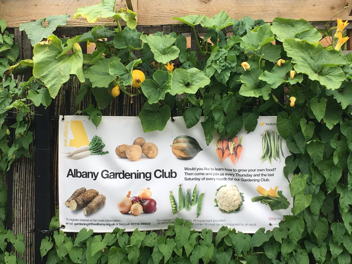 Sign up today: Join <a href="/TheAlbanyGarden/">TheAlbanyGarden</a> gardening club! Get #outside #growing #GoodFoodinLewisham <a href="/TheAlbanySE8/">Albany Deptford</a> #LewishamForBronze @FoodCities