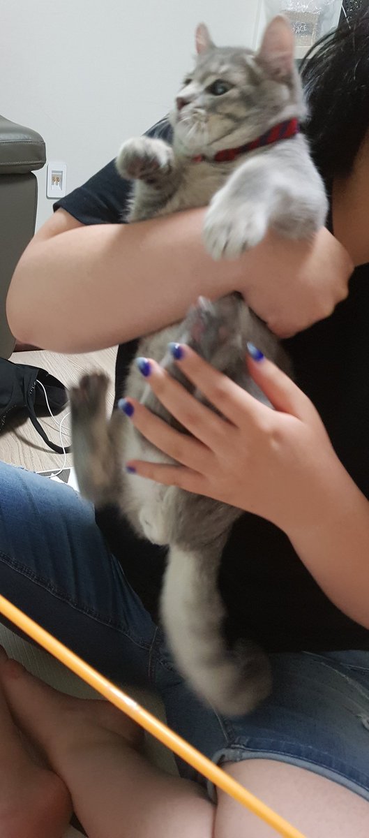 너 이거해 유어블 죤내쉬룸