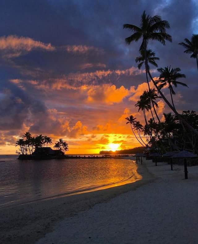 carlitapolka's tweet photo. ☀🌞☀By Brendan Kane☀🌞☀Iles Fidji ☀🌞☀#FFBest @paceload @Balade_Sympa ☀🌞☀ https://t.co/dyOhrtnK9a