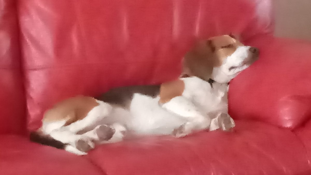 therealmuser's tweet image. Benny Jack Kerouac in thoughtful mode.