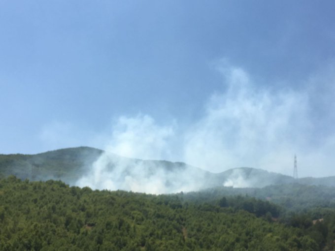 Resmi Twitter'da görüntüle Resmi Twitter'da görüntüle