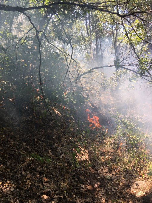 Resmi Twitter'da görüntüle Resmi Twitter'da görüntüle