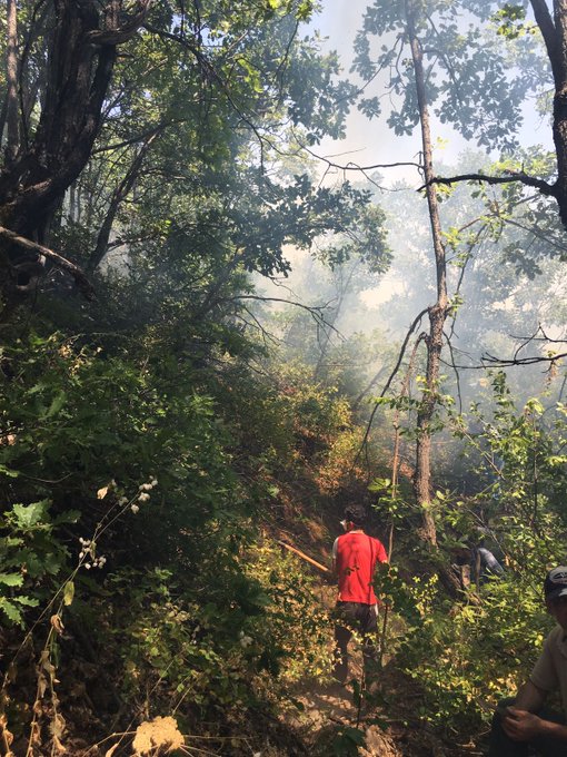 Resmi Twitter'da görüntüle Resmi Twitter'da görüntüle