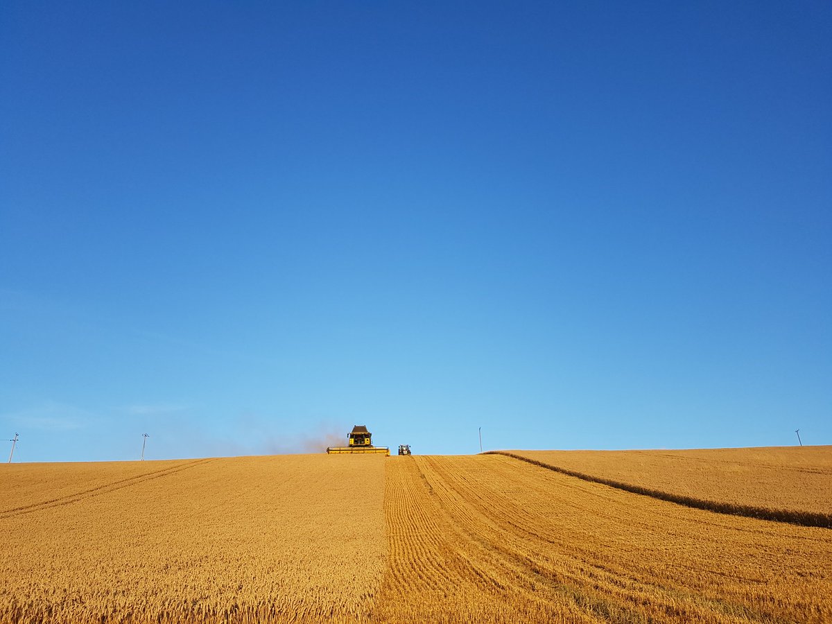 #blueforce #Farm24 #oakes_bros