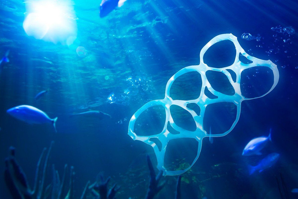 theoceanproject's tweet photo. Costa Rica paves the way to end single-use plastics https://t.co/G1ddiQ7DcY https://t.co/GrukKWNHGE
