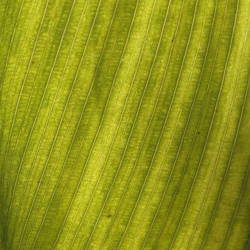 eminyeniacun's tweet photo. Abstract Art 
#instagood #photooftheday  #photoeveryday #cute #picture #beautiful #followme #happy #follow #fashio… https://t.co/Qyrst1IFCQ https://t.co/ooMDfjUATB
