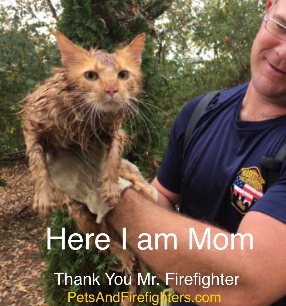 rickrickerson99's tweet photo. RT RT RT RT RT firefighters want to be a part of your Twitter pet family. We are PET rescuers. We love them too. https://t.co/VK1uvaWOva