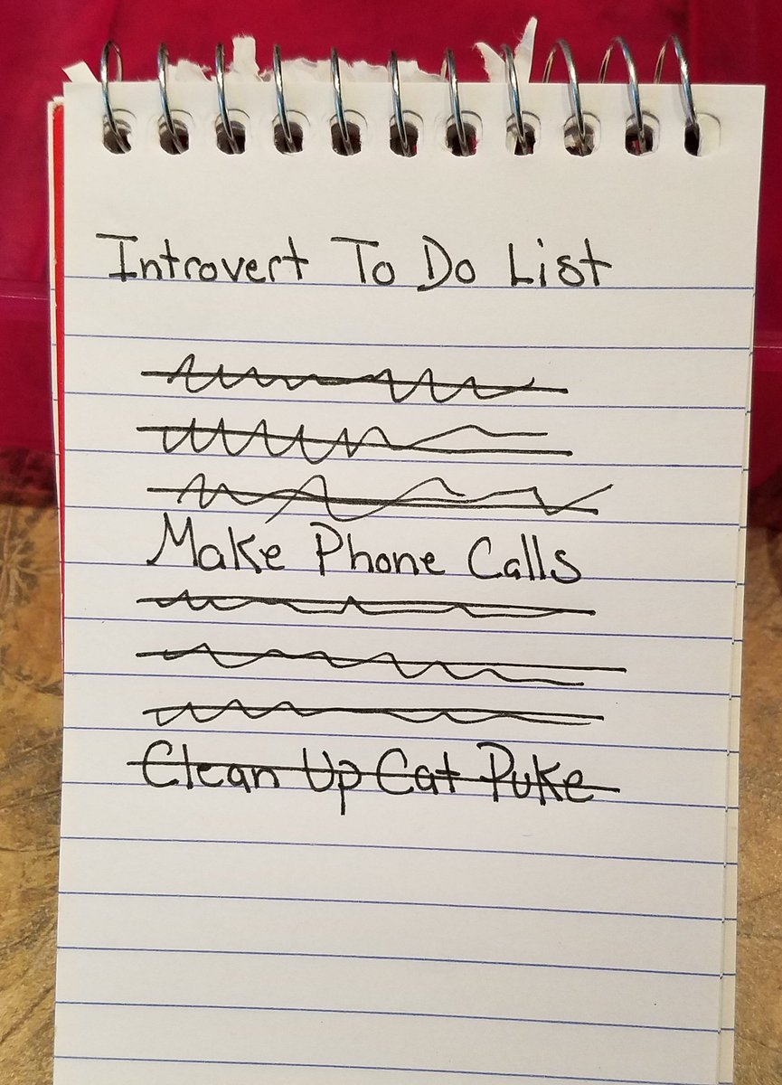 FernShadow's tweet photo. Introvert To Do List. #introvert #introvertproblems https://t.co/TGqleRfdG5