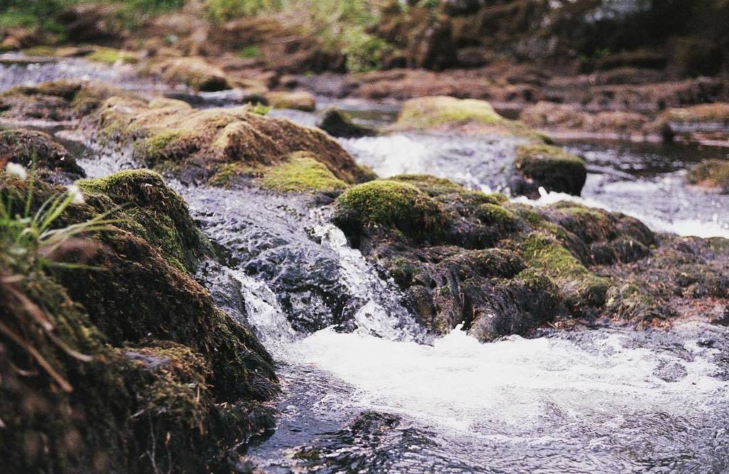 With the flow, or against it? It is your choice... ⠀⠀⠀⠀⠀⠀⠀⠀⠀
-------
⠀⠀⠀⠀⠀⠀⠀⠀⠀
#explore #exploreeverything #advent… ift.tt/2vXk3GZ