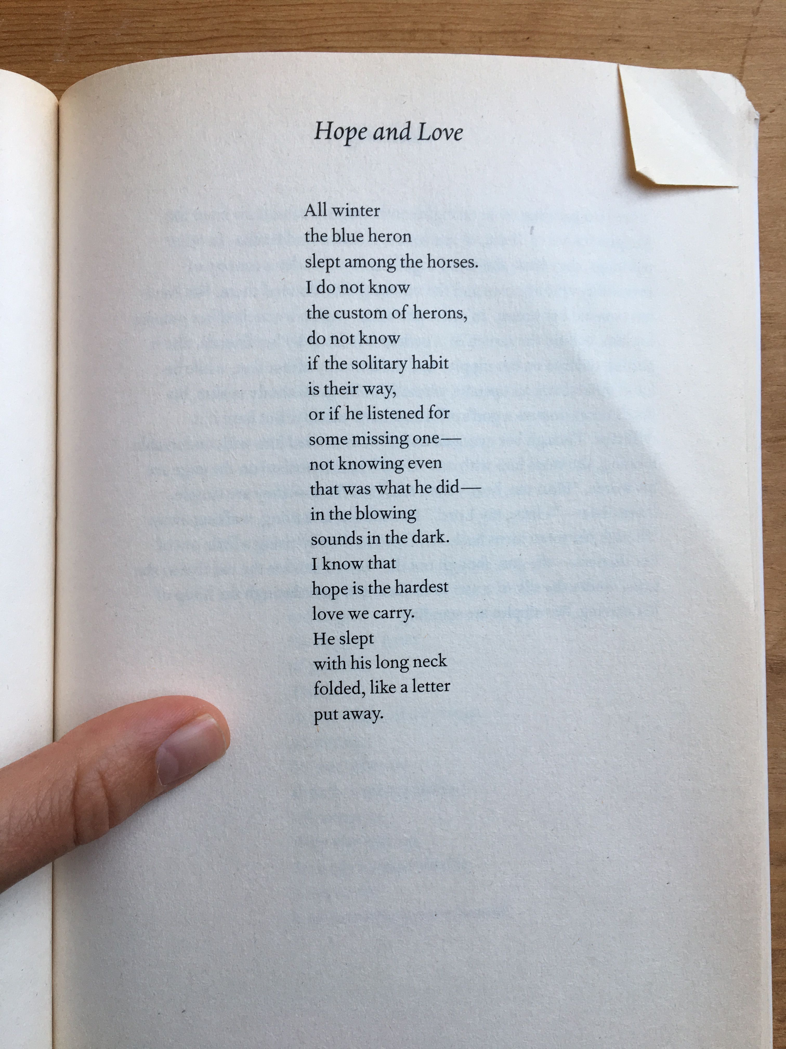 Maria Popova Hope Is The Hardest Love We Carry Jane Hirshfield T Co Gixv2f7ifj Twitter