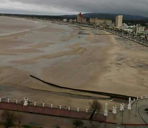 Ver imagen en Twitter