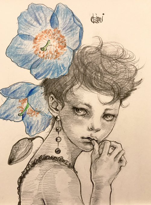 ブルーポピーのtwitterイラスト検索結果