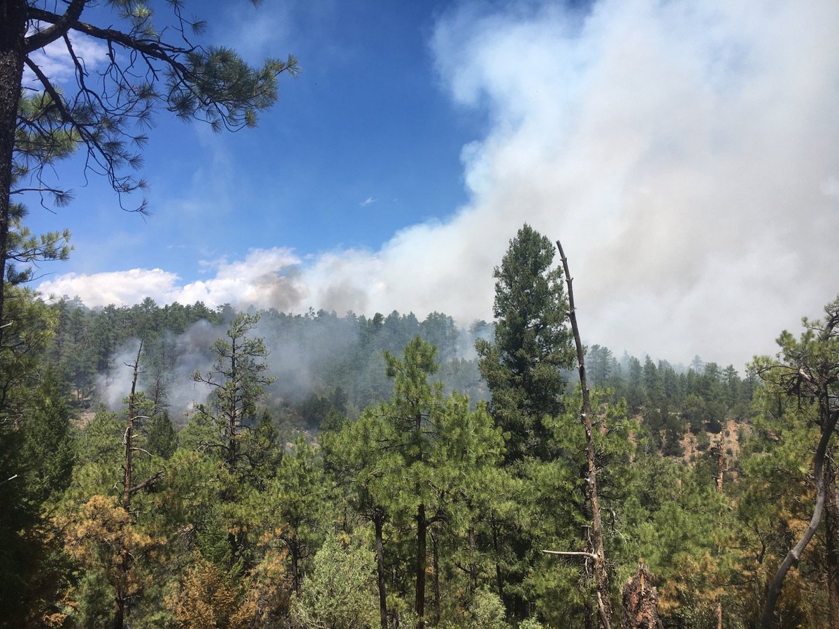 SanJuanNF's tweet image. Crews successfully burned out another 370ac yesterday, bringing the managed fire in the HD Mtns to 407ac. Firefighters onsite this weekend.