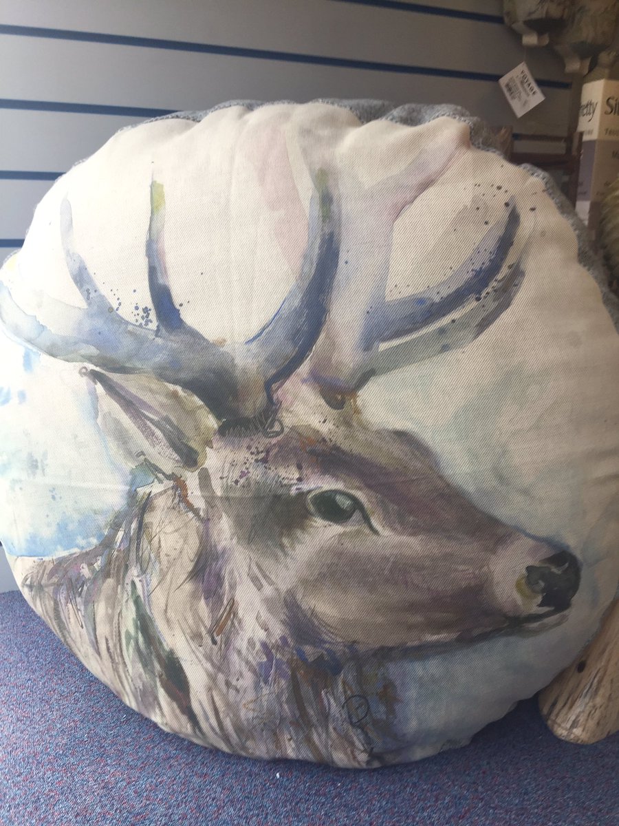 jwalkercarpets's tweet photo. New voyage delivery time! Just love these floor cushions available in medium &amp; large! Add a little wall art too with these wooden ram heads! https://t.co/nJP1myLtDG