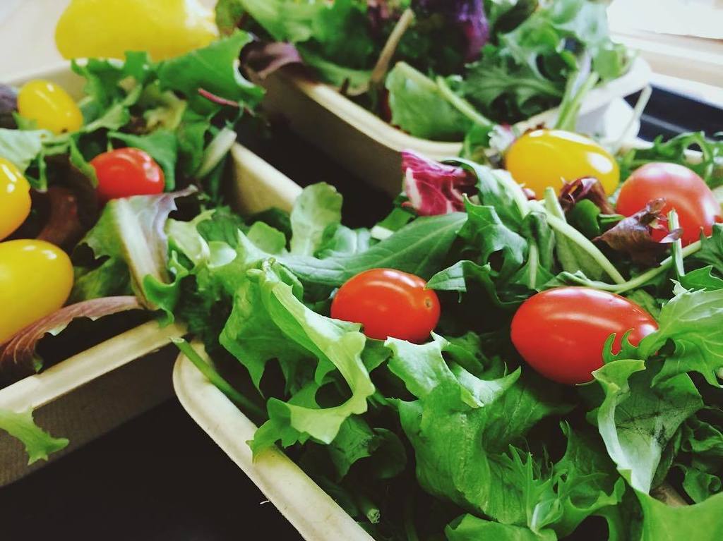 Healthy Planet US tweet media