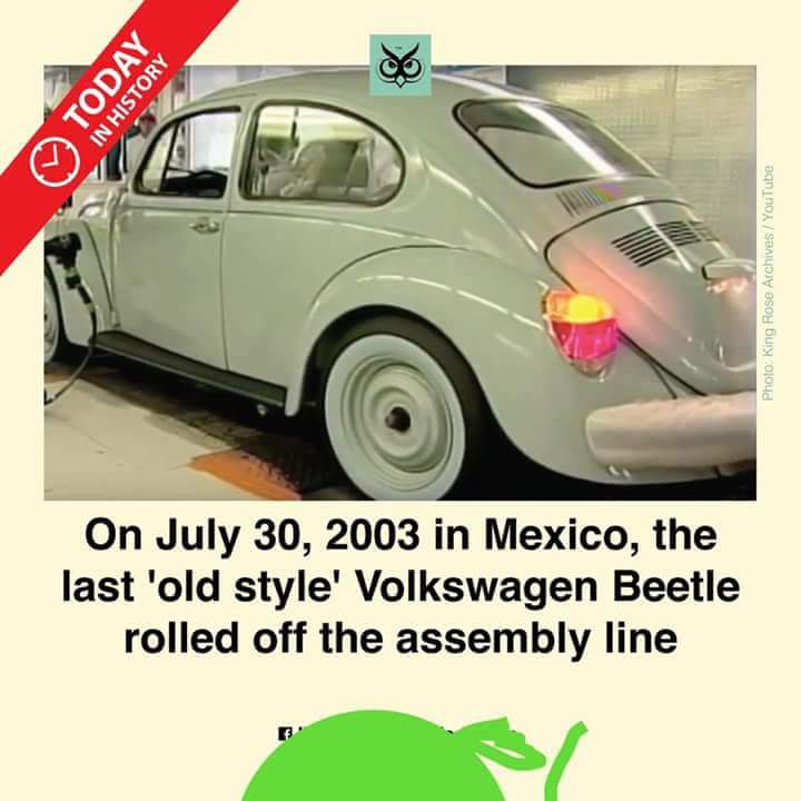 Mexibug's tweet photo. https://t.co/3vDIMILI1M