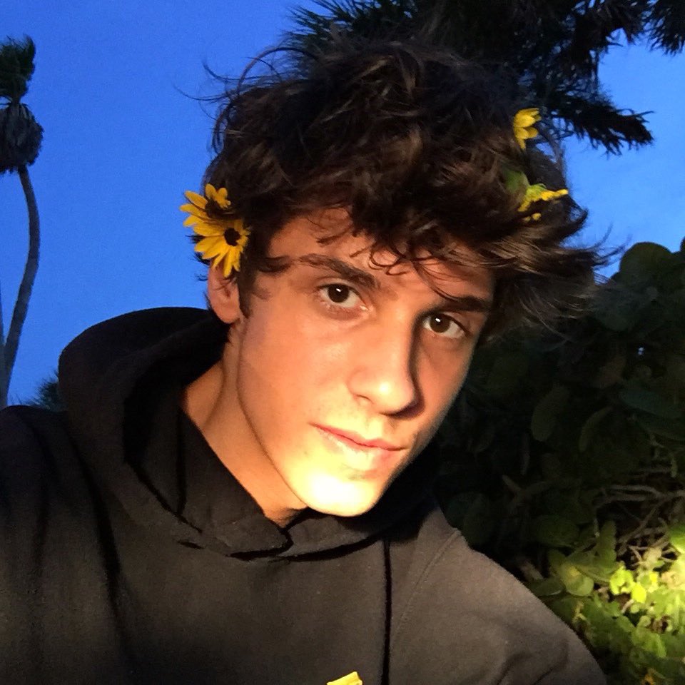 gsjdkfkgk's tweet photo. @sighmike WITH FLOWERS MAKES ME SO 💕💕💘❤️💙💚💛💜💜💞💝💕💚❣️💔🖤💓❤️❣️💘 https://t.co/n532yZHF4s