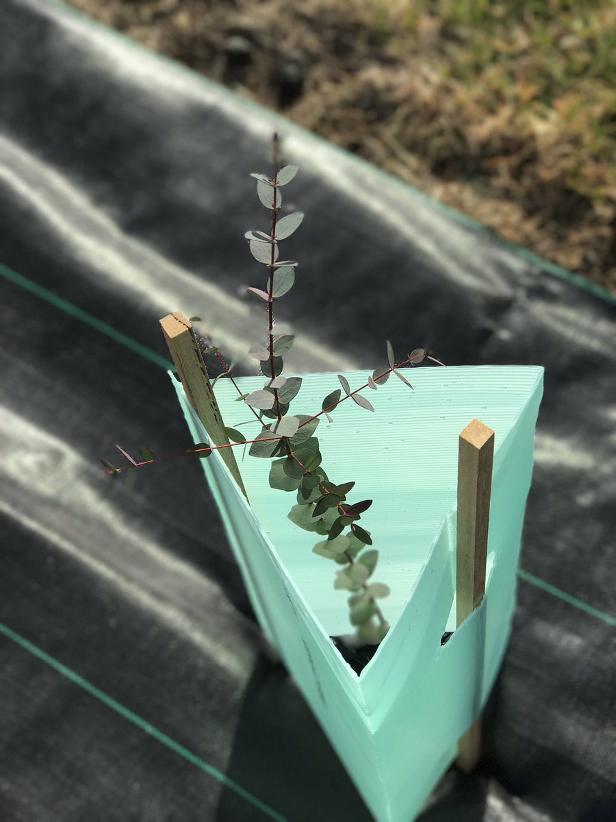 StemsBallarat's tweet photo. Always something to plant https://t.co/Vj4cUqAC2p