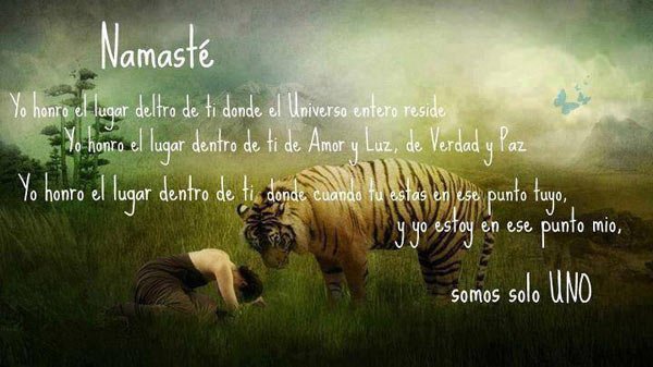 TarotMataro's tweet photo. Namaste !!! ॐ https://t.co/JLKn0WoeoP