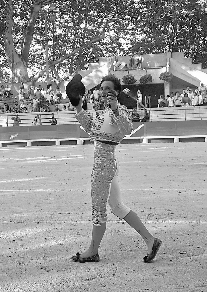 1 oreja de peso al primer toro de la ganaderia François André