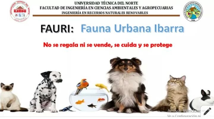 ProyectoFauri's tweet photo. https://t.co/Ly6VYrKEjL