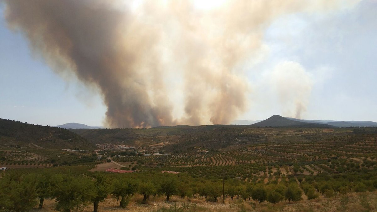 vespamanece's tweet photo. @gobjccm @fmartinezarroyo Cada vez que tuiteas más nos cabreas. Dile al político que te paga, que tienes que decir la verdad. #IFYeste Foto de Molinicos a las 17:00 https://t.co/YEhSeWa4mN