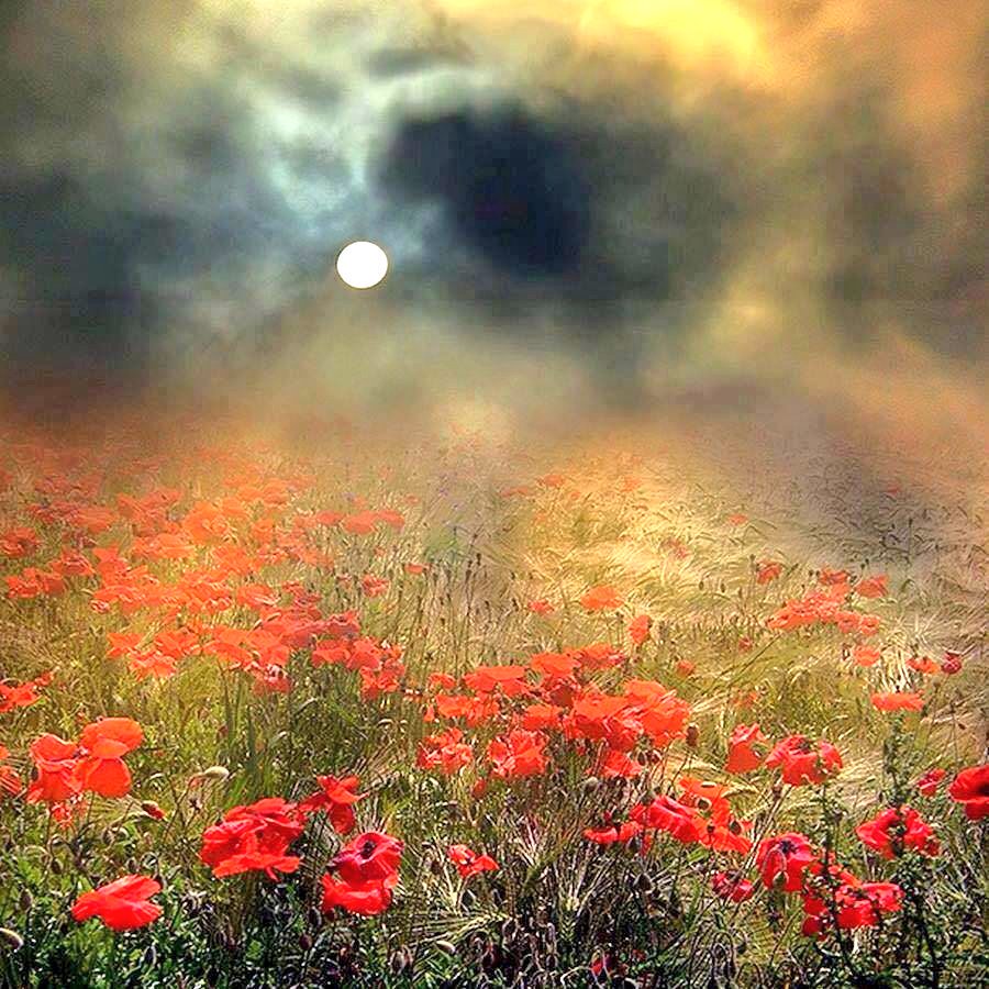 <a href="/albertoso50/">Alberto Solar</a> @CristinPereyra @SILVIADOMI222 <a href="/carlos01101966/">SirCarlos</a> <a href="/Silviadomi22G/">♕Lady in Red ❤</a> <a href="/Maxima0000/">Maxima</a> <a href="/HildaLobaton/">Hilda Lobaton</a> <a href="/IsabelPerez1232/">💦Isabel Perez 💦</a> <a href="/Fathill5/">N N</a> <a href="/tesamarylagvaz1/">Luz María 🇲🇽</a> <a href="/isamuuran1316/">浩子</a> <a href="/joseph_karem/">jo</a> @malbapalo @Prince__Rocks <a href="/AraceliSalaiz/">Amunet</a> <a href="/Josgmelo/">JOMELO #teamDollNature #1DDrive @RionegroeSolimôes</a> <a href="/tarekbahaa1/">Tarek Bahaa</a> <a href="/jareckikonecki/">@jareck</a> <a href="/alkhateeb/">abdalkareem alkhatib</a> <a href="/LoveAnd69769401/">Love And Peace🇲🇽</a> <a href="/fevziates3/">❤⭐#EADT17❤</a> <a href="/joaquinluquep/">joaquin luque perez</a> @joeldesouza2626 <a href="/pintupothik1/">Pintu Rahman</a> @Viola_Walewska <a href="/arlenesg/">Arlene 🔆</a> <a href="/Fitri34404412/">🌸Fi 🌸3🌸</a> @c3ciliya <a href="/koban75011763/">Ali</a> <a href="/DavidMBacon1/">David M Bacon</a> @antwanhoberg <a href="/sushilpershad/">sushil ??</a> @Carolovely30 <a href="/The_Legend_2020/">Qusay Bider</a> <a href="/ReRioPop/">Re 🇧🇷🇸🇾KayBrilhante Habib اتبع قلبك وعيش أحلا</a> <a href="/henrirouen/">Henri Rousseau</a> <a href="/mvf7186/">#TmSofia</a> <a href="/papaof3D/">NicThe1/2SouthKorean</a> <a href="/Ashger_70R/">*✒الحر الأشقر*✒ ♔Fares♔</a> @djombic_ <a href="/maryrock180457/">🇧🇷Mari Marques🤘🎶🎸🎹</a> <a href="/ky_33/">🤍✝️Doni💙CowboyFan🏈4Life</a> <a href="/Rozane_Costa/">Rozane Santana</a> @moiraek <a href="/ANGELA25G70/">@AngelaSavino</a> <a href="/DulceMa69072404/">♣♥Dulce Mary ♥♣</a> ║║╔║║╔╗ ║ 
╠╣╠║║║║ ║ 
║║╚╚╚╚╝ O 
💥👉TMPLUZ💥
🌟 <a href="/jareckikonecki/">@jareck</a> 
💥 @Prince__Rocks 
🌟 <a href="/RosanaFava/">🌸rosanafava 50K🌸</a> 
💥 <a href="/albertoso50/">Alberto Solar</a>