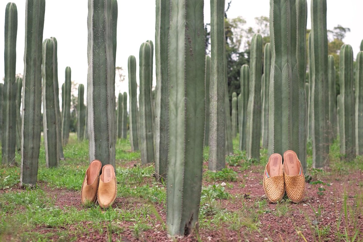 Matching Mohinder cacti for your Sunday. Have a good one, friends! // PC <a href="/threadcaravan/">threadcaravan</a>  + lvis.ca (IG)