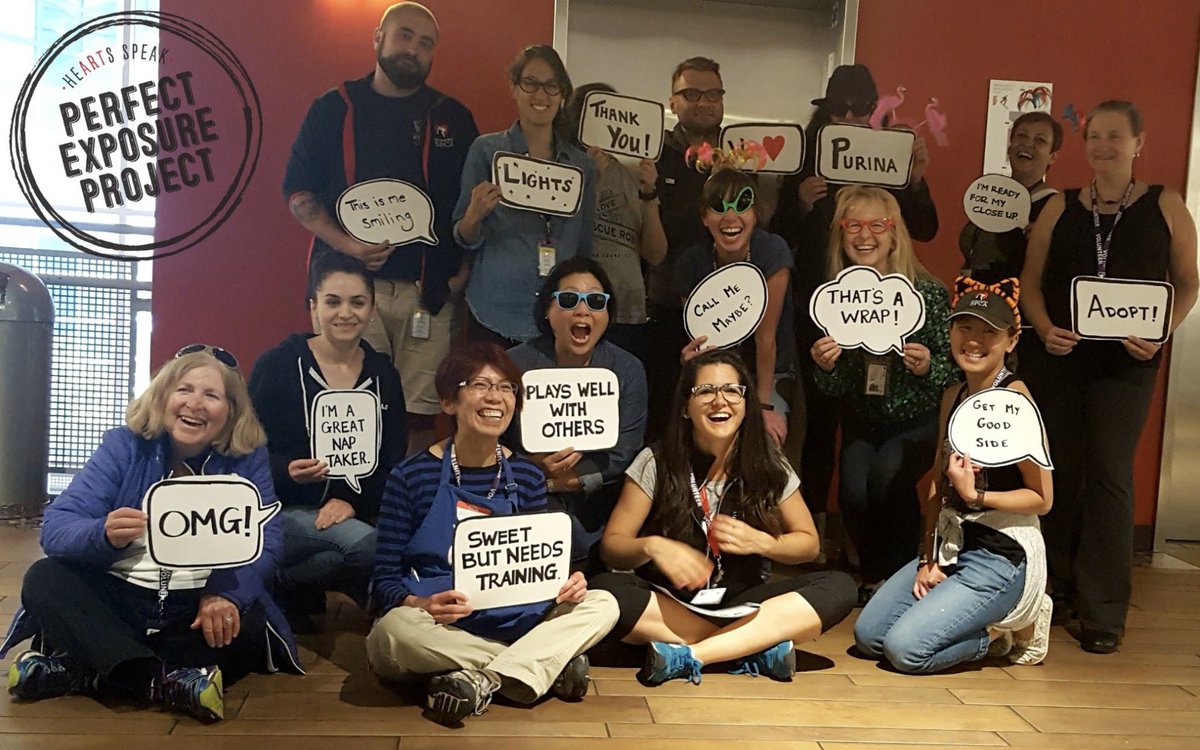 HeARTsSpeakOrg's tweet photo. Another #PerfectExposure workshop completed with the fine folks at @sfspca. We can wait to see your photos! https://t.co/ln6HEZd8oQ