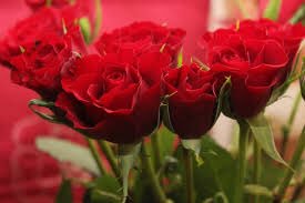 KingofIraq6's tweet photo. شگگد أذية ﻣن أحن لوااحـد انـ❣ـٍّيہ
وهـوة أبـد ميحــن عليـة 💔✋
شگگد أذية انـ❣ـٍّيہ كلبي الة وحدة
وهـوة كلبة مو أليـة 💔💔
شكدددد اذية https://t.co/KTXqb93lNm