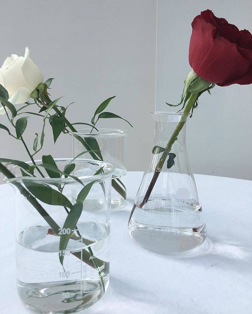 amandahughesuk's tweet photo. When your Bride is a Scientist...
.
.
#glasgowflorist #scottishflorist #scottishwedding #science #scientist #beakeโฆ https://t.co/wK6gYiem32 https://t.co/pFneVgyR3S