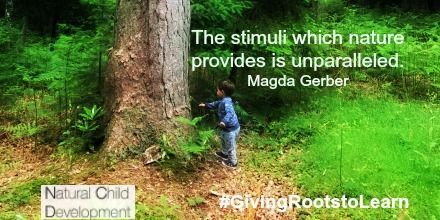 NaturalChildDev's tweet image. 'The playfulness of sunlight &amp;amp; shadow are strong stimuli to the senses' #Magda Gerber #playmatters #GivingRootstoLearn #outdoorclassroom