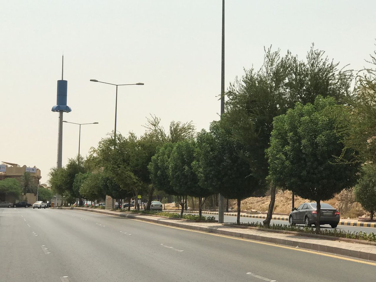 Amanatalriyadh's tweet photo. #أمانة_منطقة_الرياض تتعامل مع حرارة الجو بأن أطلقت الأشجار ومنعت قصها مما يزيد من تقليل الحر والتلوث وتلطيف وتنقية الهواء .. https://t.co/OyZcXDABS8