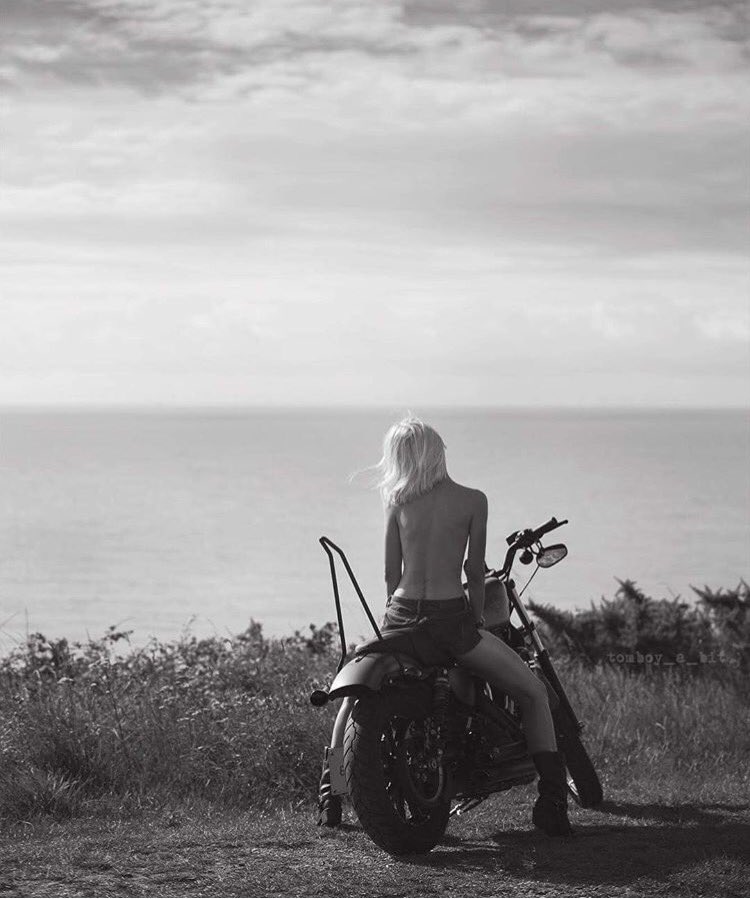 Exciting new project coming from our awesome friend <a href="/deimantemeilune/">tomboy a bit</a> 👊🏻
Watch This Space!
#harleydavidson #girlswhoride #exciting